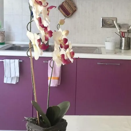 דירה My House For Florence, Airconditioned - Easy Parking